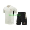 Deutschland Kinder Weiß Trainingsshirts 2023-2024